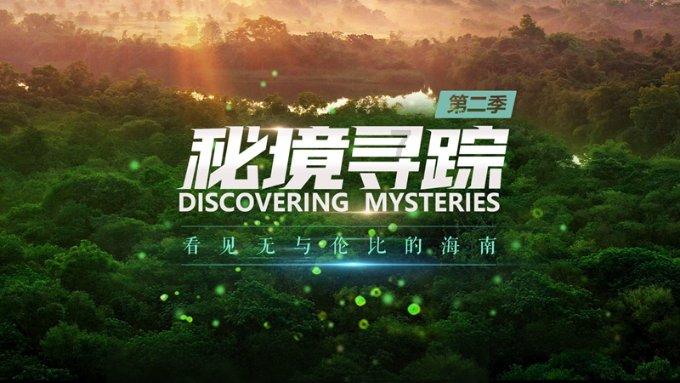 驱逐城堡入侵者选关版